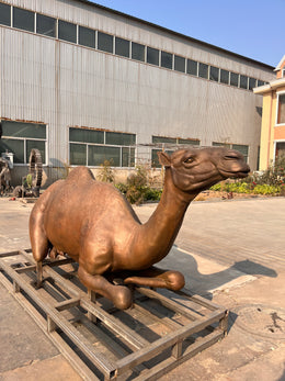 Bronzeskulptur liegendes Kamel, Länge 260 cm, Ansicht 5