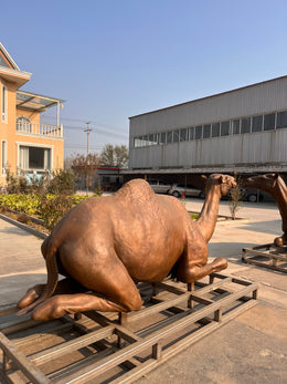 Bronzeskulptur liegendes Kamel, Länge 260 cm, Ansicht 4