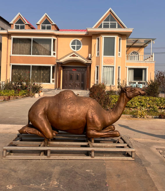 Bronzeskulptur liegendes Kamel, Länge 260 cm