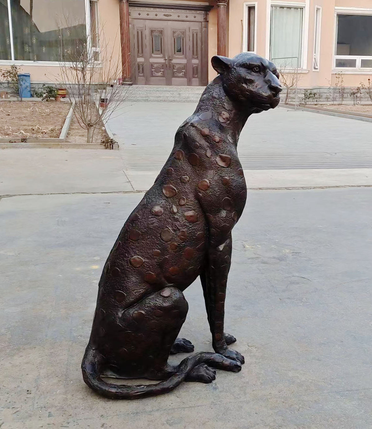 Bronzeskulptur sitzender Leopard, Höhe 150 cm